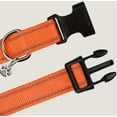 thumbnail image 6 of Dog Collar and Leash Set with Safety Seat Belt, Ideal for Walking – Fits Medium to Large Dog (Orange-M), 6 of 10
