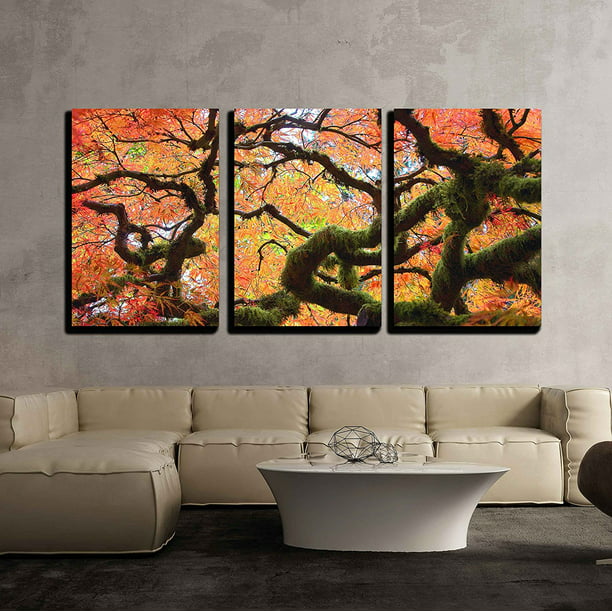 wall26 3 Piece Canvas Wall Art Gnarly Japanese Maple