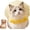Yellow, variant on Dog Mesh Net Breathable Adjustable No-Eat for Small Dogs & Cats Walks | Cute Star Design Hood Lightweight Dust Shield for Outdoor Social Gatherings Hot Weather Compatible with Small Pets