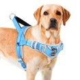 thumbnail image 1 of Arnés para perros ADVENTUREMORE, no tira, reflectante, L, para perros grandes, 1 of 6