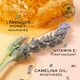 thumbnail image 4 of Aceite labial Nuxe Rêve de Miel Honey Ultra Shiny 10 ml con vitamina E, 4 of 6