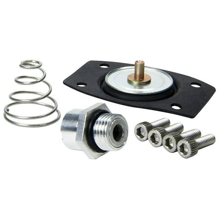Allstar Performance Rebuild Kit for ALL40290