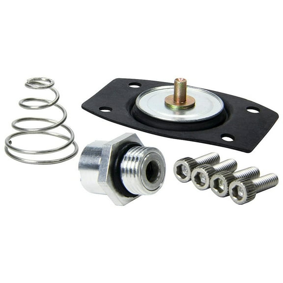 Allstar Performance Rebuild Kit for ALL40290