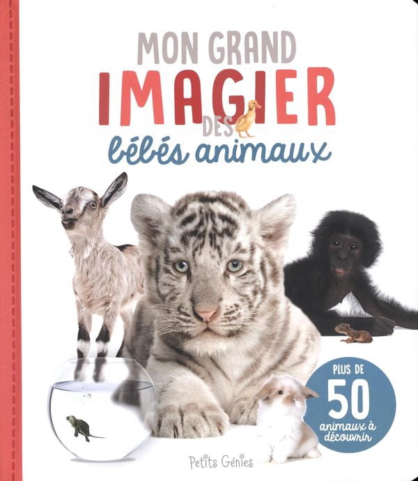 Mon Grand Imagier Des Bebes Animaux Petits Genies Walmart Com Walmart Com