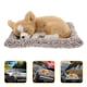 thumbnail image 3 of Accesorios para tablero de automóvil, lindo perro de peluche realista durmiendo sobre tapete, adorno decorativo para el interior del automóvil, cachorro de peluche, 3 of 8