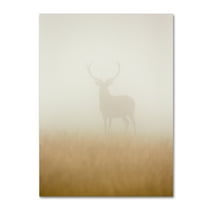 Trademark Fine Art 'Ghost Stag' Canvas Art by Stuart Harling