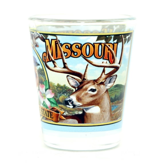 Missouri State Mural Shot Glass