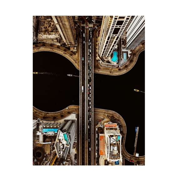 Canvas Wall Art - Carmine Chiriaco 'Vision From The Top' Wall Art for Living Room, Bedroom, or Office Décor by Trademark Fine Art - 14 x 19 Inches