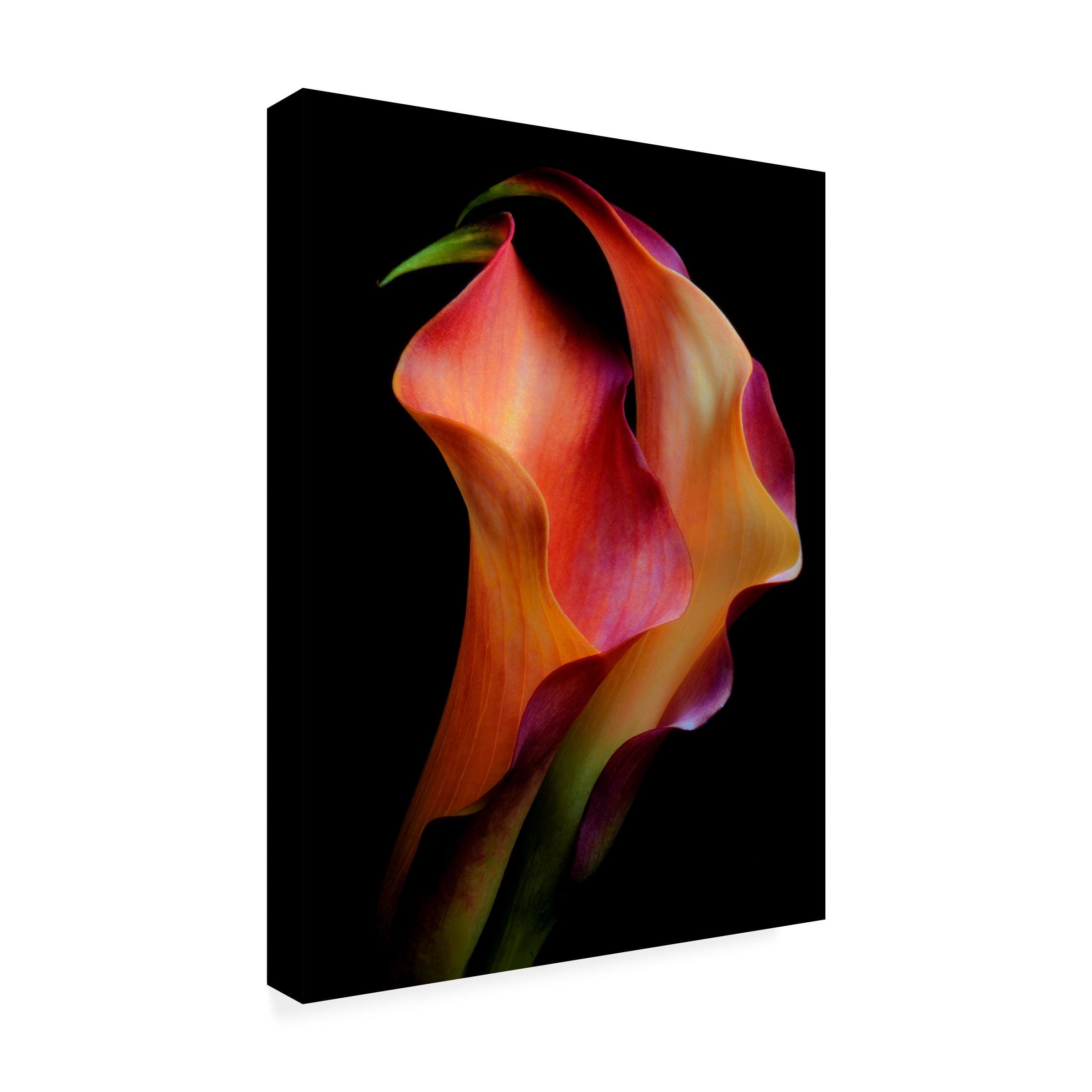 Jon Kinney 'Tenderness' Canvas Art