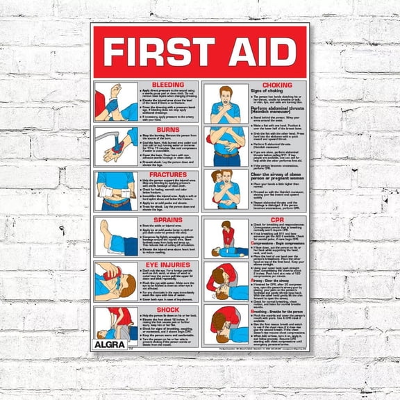 First Aid Laminated 24" X 36"