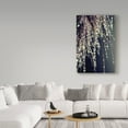 thumbnail image 3 of Trademark Fine Art 'Sparkling Afternoon' Canvas Art by Incredi, 3 of 3