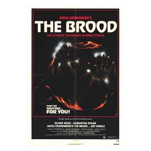 The Brood Movie Poster (11 x 17)