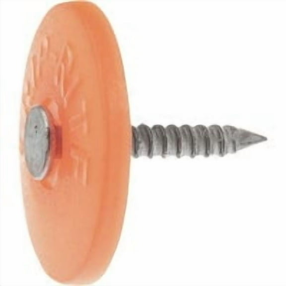Grip-Rite 2-1/2 in. Cap Electro-Galvanized Plastic/Steel Nail Full Round Head