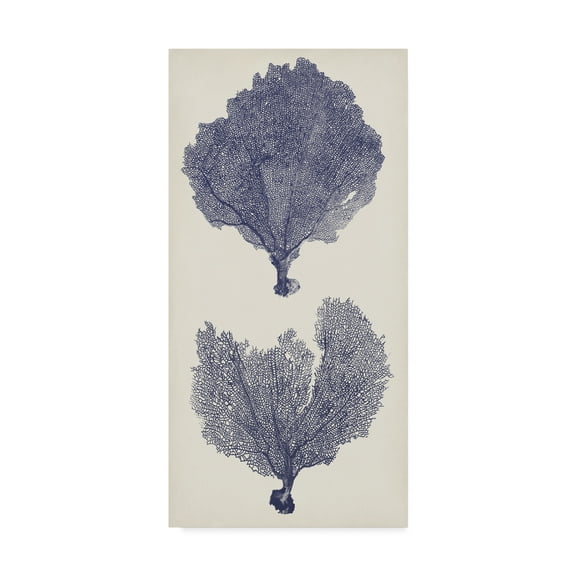 Trademark Fine Art 'Indigo Seafans II' Canvas Art by Vision Studio