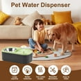 thumbnail image 3 of Keyohome 2 in 1 Cat Water Fountain and Food Bowl 3L Capacity Pet Water Dispenser with Quadruple Filtration System Automatic Fountain and Stainless Steel Bowl for Cats, 3 of 10