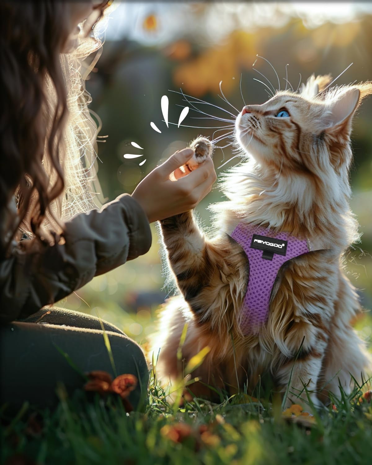 FAYOGOO Escape Proof Cat Harness and Leash Set for Walking, Secure-Fit Step-in Cat Vest Harness, Soft & Lightweight for Kittens and Large Cats