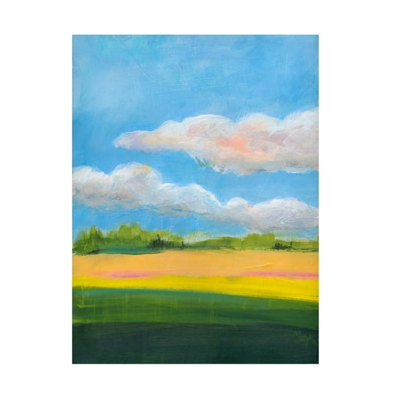 Canvas Wall Art - Jan Weiss 'Beneath a Cloudy Sky 1' Wall Art for Living Room, Bedroom, or Office Décor by Trademark Fine Art - 14 x 19 Inches