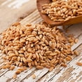 thumbnail image 2 of Epigrain Canadian Farro Whole Grain, 1kg (2.2lbs), 2 of 3