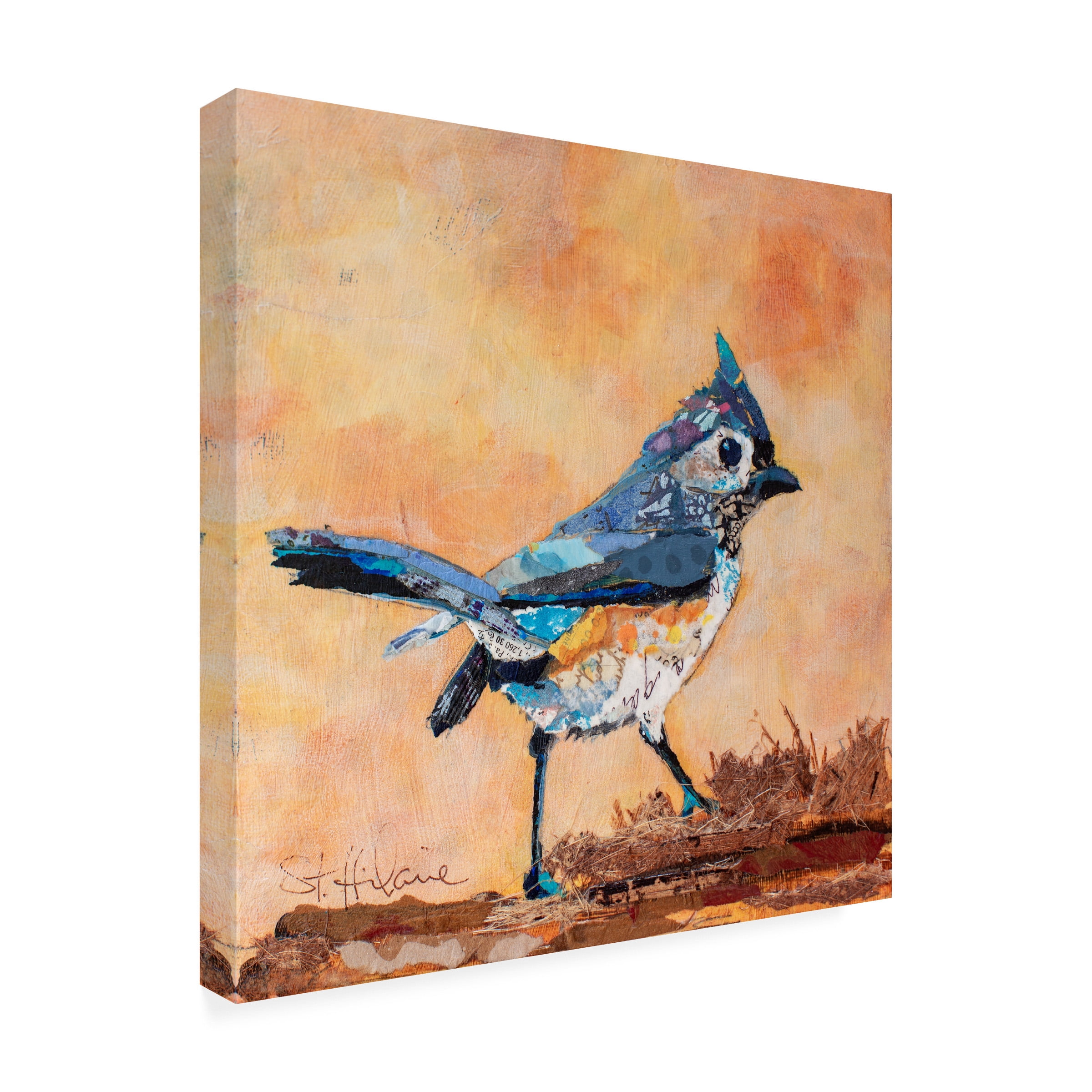 Elizabeth St Hilaire 'Tufted Titmouse' Canvas Art