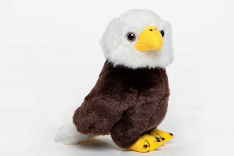 stuffed bald eagle