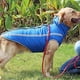 thumbnail image 2 of Chaqueta de invierno impermeable para perros, ropa cortavientos para mascotas, chaqueta para perros pequeños y medianos con orificio para arnés, 2 of 5