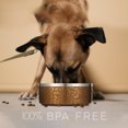 thumbnail image 5 of Fahrmosis Cuenco Para Perros De 32 Onzas Con Inserto De Alimentador Lento, Cuenco De Agua Para Mascotas De Acero Inoxidable Para Razas Medianas Y Grandes, Base De Goma Antideslizante Y Alimentador De, 5 of 5