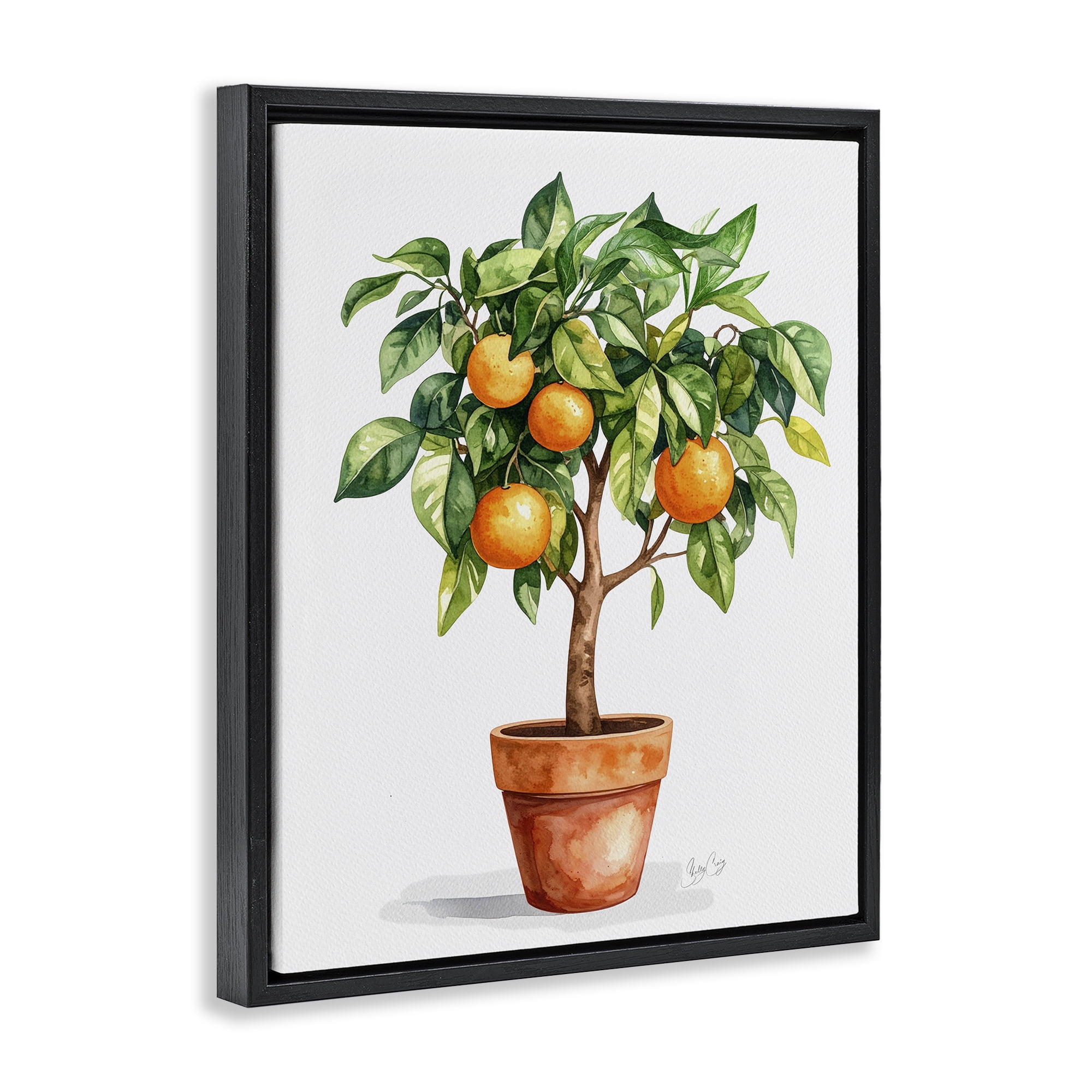 Stupell Industries Potted Orange Tree Black Framed Floater Canvas Wall Art, design by Shelly Craig