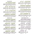 thumbnail image 4 of Ocarina 12 agujeros de cerámica Ocarina Alto C Instrumento musical de estilo estrellado con cordón de música Bolsa protectora de partituras para amantes y aprendices de música Maboto Ocarina, 4 of 6