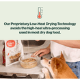 thumbnail image 3 of The Farmer's Dog Instant Fresh Beef & Grain, 2 lb Bag Makes 6 lbs of Dog Food, 3 of 7