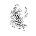 thumbnail image 1 of 15 Days Waterproof Tattoo Sticker Japanese Traditional Tatt Half Arm GXau M B7L1, 1 of 1