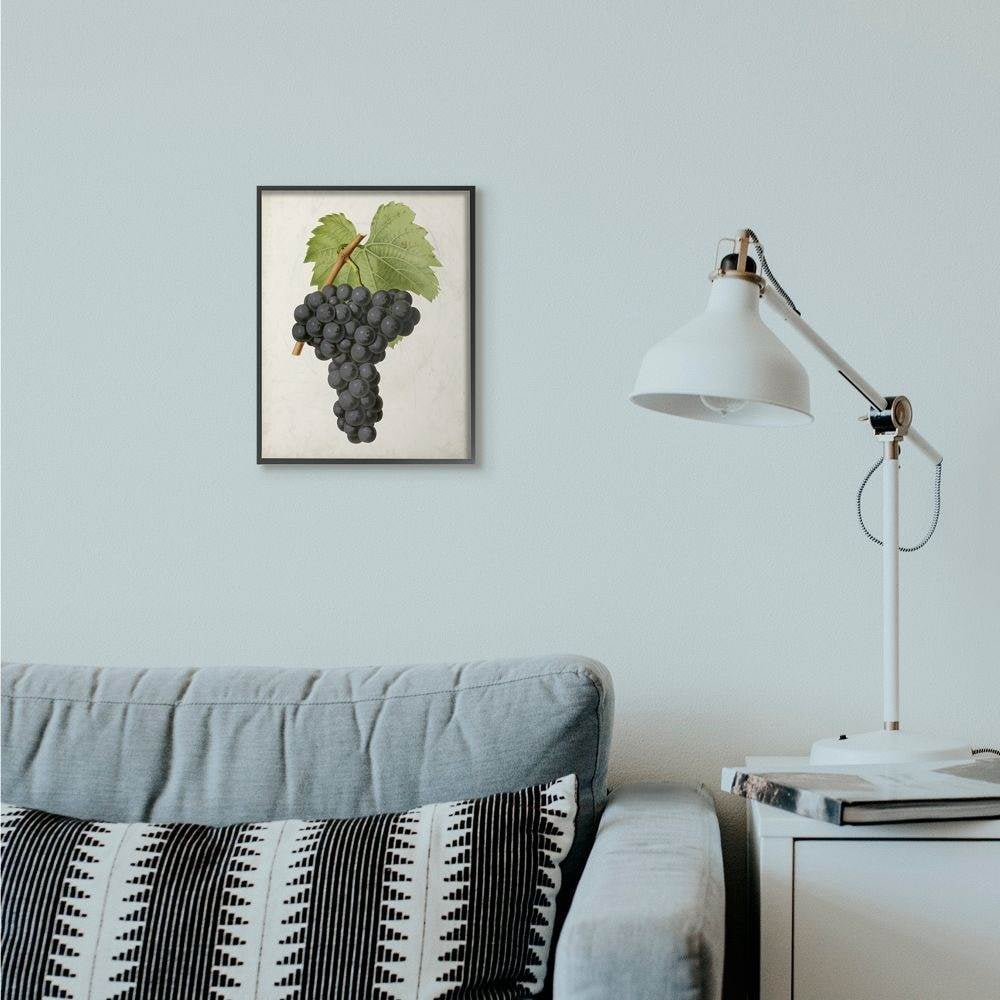 Stupell Industries Vintage Fruit Grape Painting Framed Giclee Texturized Art by Vision Studio