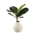 thumbnail image 1 of 15" H Fig Leaf in Ceramic Vase,Cream, 1 of 4