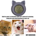 thumbnail image 2 of Catnip Energy Ball Cat Clean Toy Rotatable Autoadhesivo Suministros para, 2 of 6