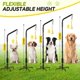 thumbnail image 4 of Juguete interactivo para tirar de perros AugFir para exterior con poste de resorte, 4 of 7
