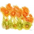 thumbnail image 3 of Baynes, Cheryl 24x20 Black Modern Framed Museum Art Print Titled - Sunlit Poppies I, 3 of 5