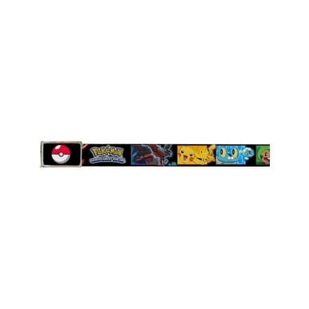 Pokemon Animated TV Series Poke Ball Red Background Logo Web