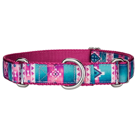 Country Brook Petz® Albuquerque Ribbon Martingale Dog Collar, Small