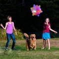 thumbnail image 5 of Juguetes luminosos para niños, juguetes para mascotas para perros, pelota de activación de salto colorida con luz y música, pelota de activación que rebota, 5 of 5