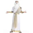 thumbnail image 5 of 2026 Adult Roman King Greek Halloween Fancy Dress Up God Men Zeus Costume, 5 of 5