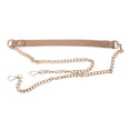 thumbnail image 1 of EeaseCA 1 Pc Elegant Bag Accessory Versatile Bag Chain Creative Leather Bag Chain, 1 of 7