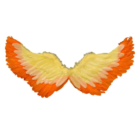 Multicolor Carnival Angel Feather Floating Wings Mardi Gras Feather Fairy Wings with Elastic Straps Masquerade Party Supply Photo Props for Gifts Favors Birthday Wedding(A,25.59x13.77 Inch)