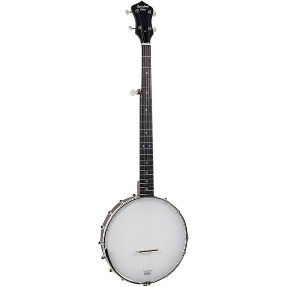 Recording King Dirty 30s Open-Back Tone Ring Banjo