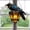 A, variant on Raven Gothic on Lantern 2D Acrylic Suncatcher, Ornament Faux Stained Glass Halloween Crow on Lamp, Halloween Crows and Ravens Decorations for Dark Academia Home