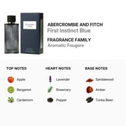 ABERCROMBIE & FITCH FIRST INSTINCT BLUE by Abercrombie & Fitch EDT SPRAY 1.7 OZ