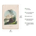 thumbnail image 2 of Peach Palm (Bactris Gasipaes) - Rio Japura Brazil - Vintage Botanical Illustration by Carl Friedrich Philipp von Martius c.1820s - 8 x 12 inch Vintage Wood Art Sign, 2 of 4