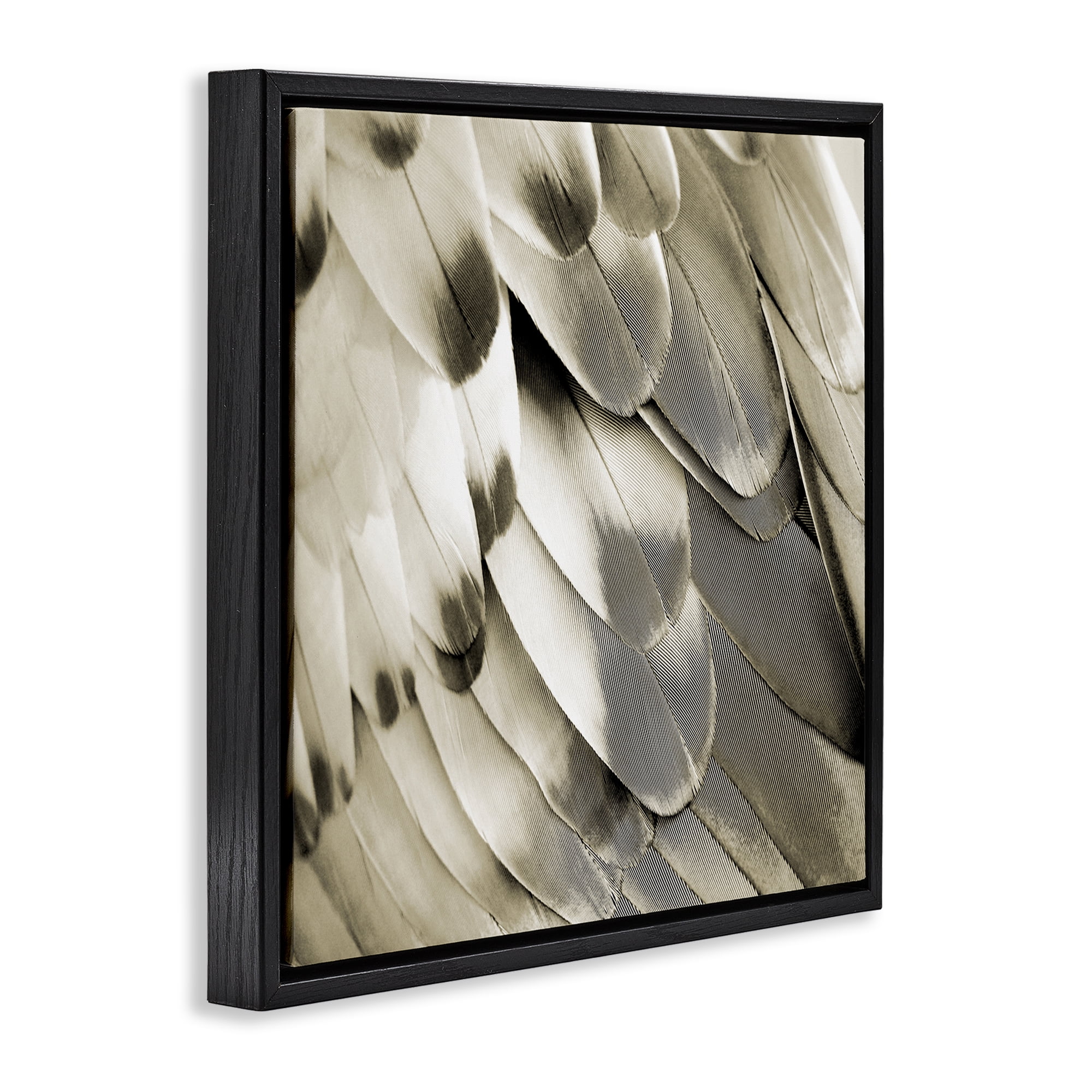 Stupell Industries Sleek Wing Feathers Animals Painting Black Floater Framed Canvas Art Print Wall Art, 18 x 18