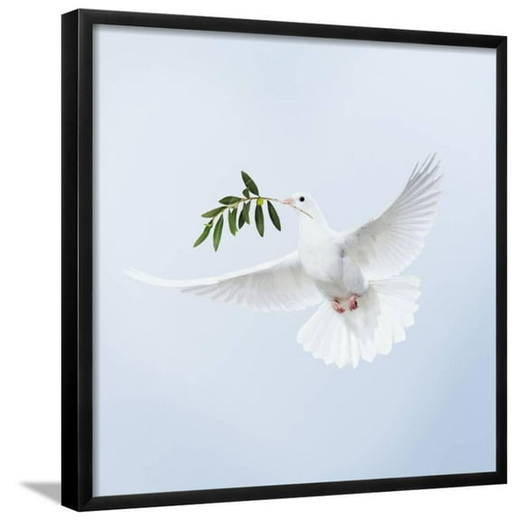 Dove in Flight Carrying Olive Branch in Beak Opeaceo, Animals Botanical Framed Art Print Wall Art Sold by Art.Com