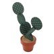 thumbnail image 5 of Plaus de Tazón, Inodoro Cactus Coaster Establece Aislamiente de Calor para Barra para El Consultorio, 5 of 7