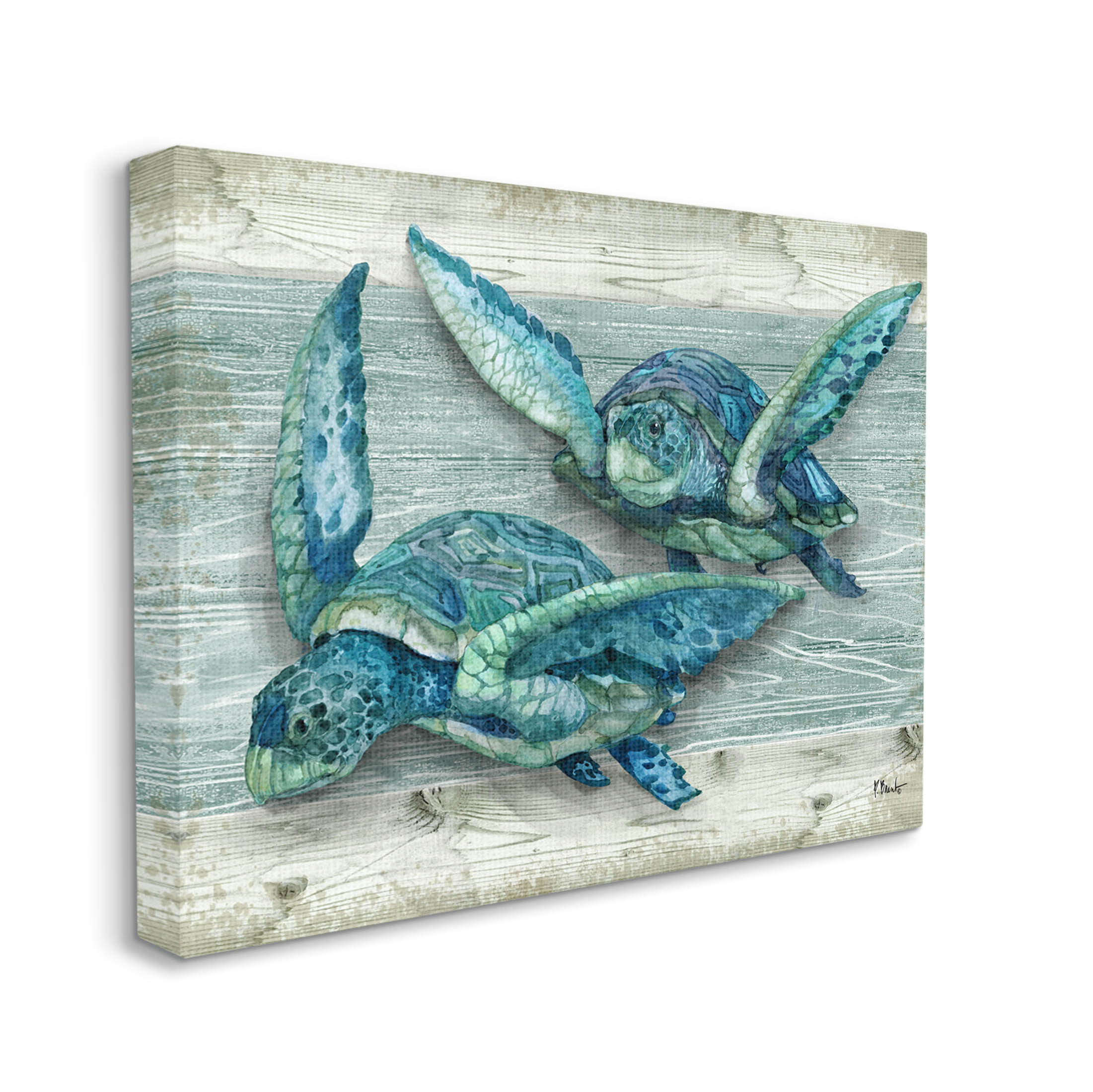 Stupell Industries Northpoint Sea Turtles Sealife Graphic Art Gallery Wrapped Canvas Print Wall Art, Design by Paul Brent