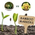 thumbnail image 3 of Étiquettes de Jardin en Bambou Étiquettes de Jardin en Bambou Étiquettes de Jardin en Bambou Étiquettes de Jardin en Bambou Étiquettes de Jardin en Bambou Étiquettes de Jardin, 3 of 9